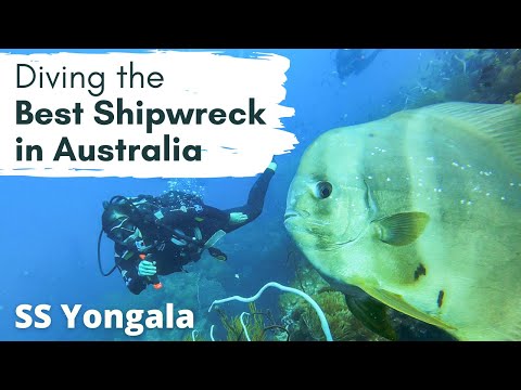 IS THIS THE BEST SCUBA DIVING IN AUSTRALIA?!? Diving the SS Yongala Shipwreck in Queensland