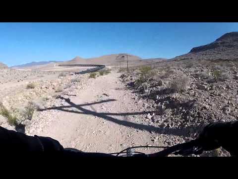 Diamondback Recoil 29