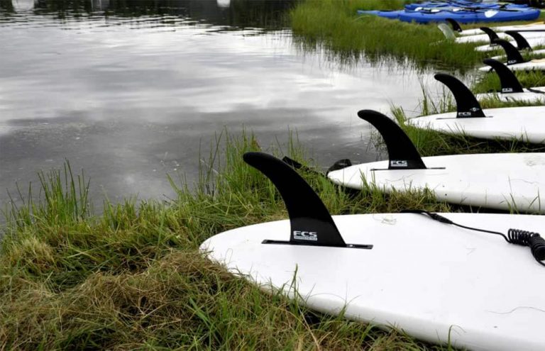 sup fins on shore