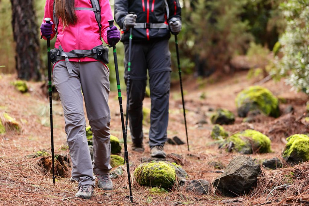 youth trekking pole