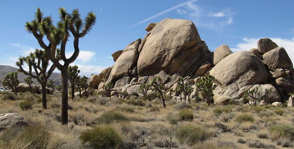 5 Must-Visit National Parks in California Other Than Joshua Tree