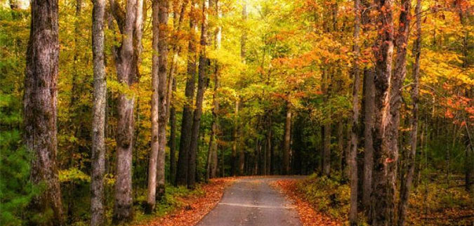 Top 15 Best Trails For Fall Bike Rides In The US 1 virginiacreepertrail