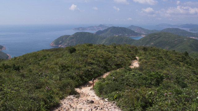 MacLehose