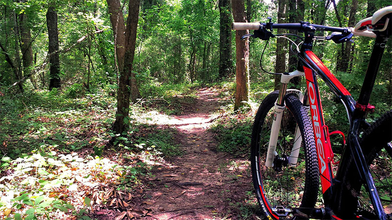 kincaid park mountain bike trails