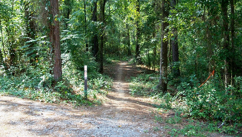 5 Best Mountain Bike Rides in South Carolina 1 FATS mtb