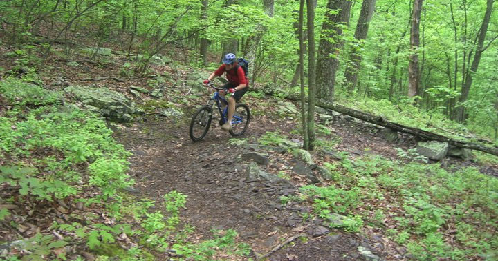 5 Best Mountain Bike Rides in Virginia 1 virginia mtb