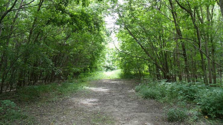 5 Best Mountain Bike Rides in Missouri 1 weston bend state park