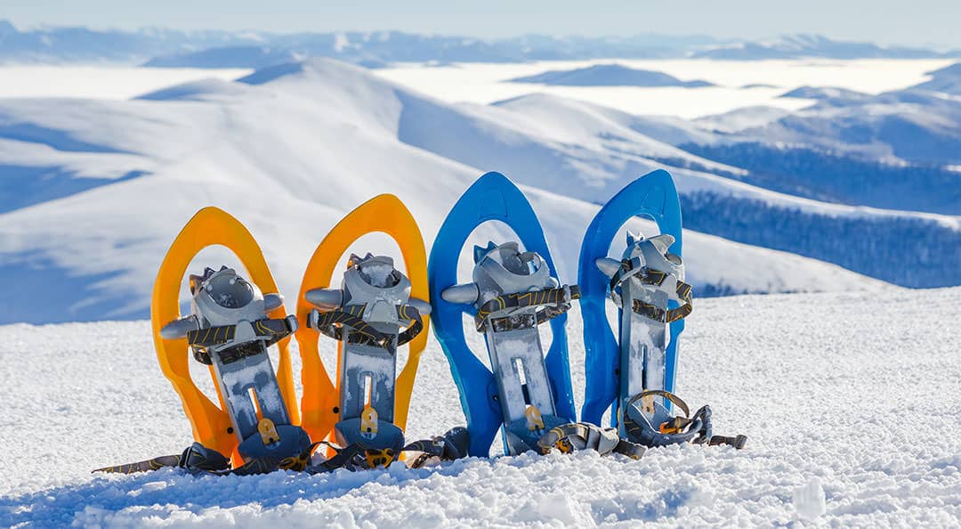 snowshoes in the snow