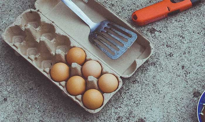 eggs in carton