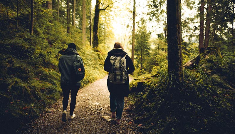 hikers in forest