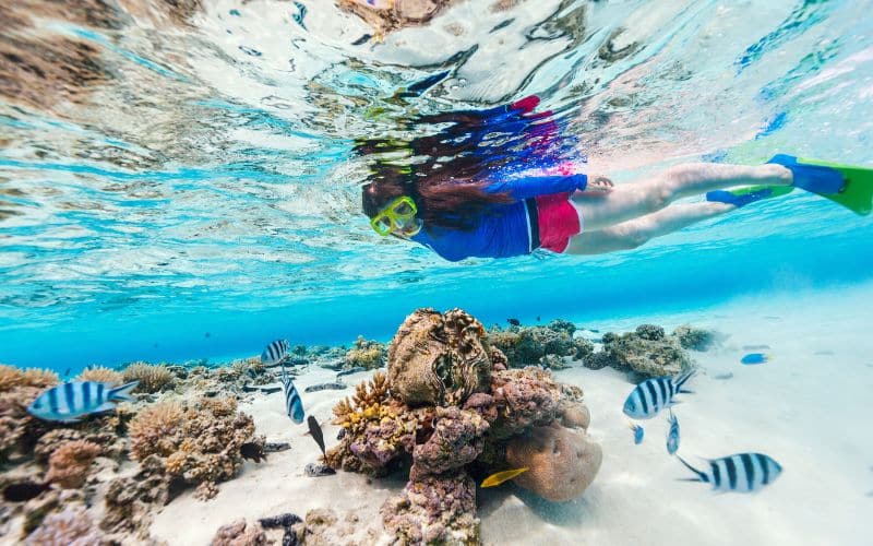 woman snorkeling at reef with tropical fish