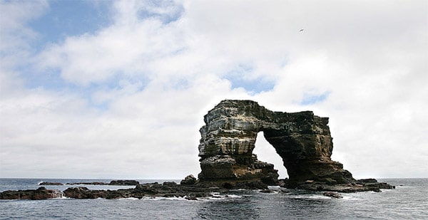 10 Best Places To Go Scuba Diving In The World 1 darwin's arch
