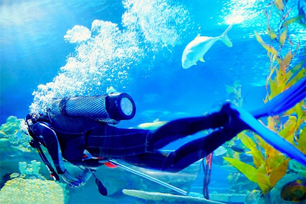 What To Expect On Your First Scuba Dive 1 scuba diver in ocean