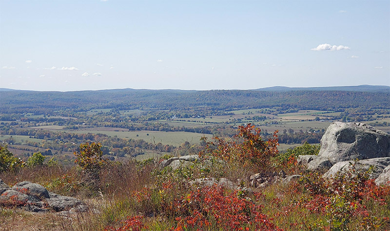 Best Hikes Near St. Louis: Top Trails for Outdoor Enthusiasts 4 Buford Mountain State Forest Trail at Buford Mountain Conservation Area