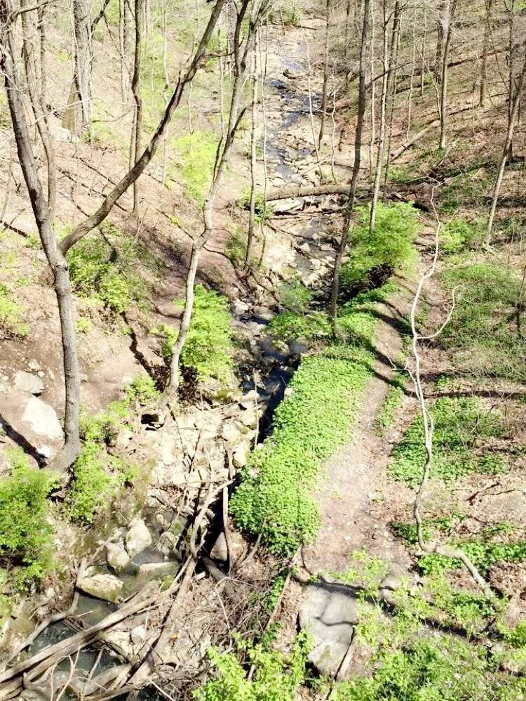 Best Hikes Near St. Louis: Top Trails for Outdoor Enthusiasts 5 Cliff Cave Park