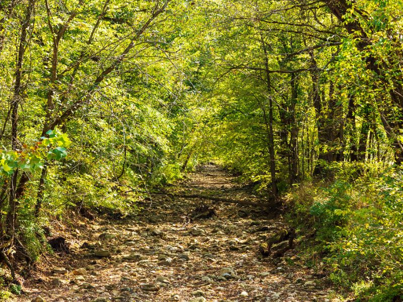 Mark Twain National Forest Hiking: Best Trails and Tips 1 mark twain national forest