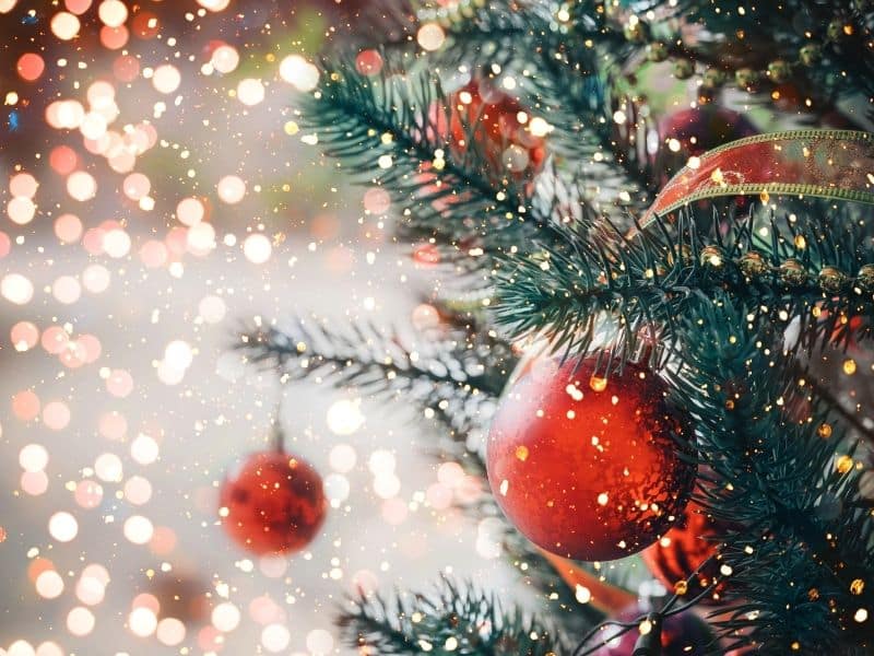 399+ Christmas Nicknames – Funny, Cool, Unique Christmas-Themed Names 1 christmas tree
