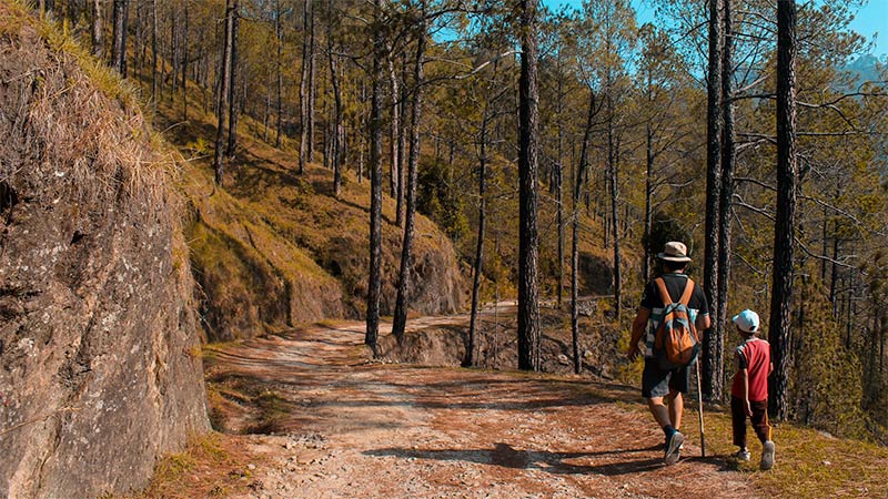 What Does 'Out And Back Trail' Mean For Hikers? 1 people on hiking trail