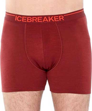 Keep Your Junk Fresh With The Best Hiking Underwear For Men 2 Icebreaker Anatomica Boxer Briefs - Men's