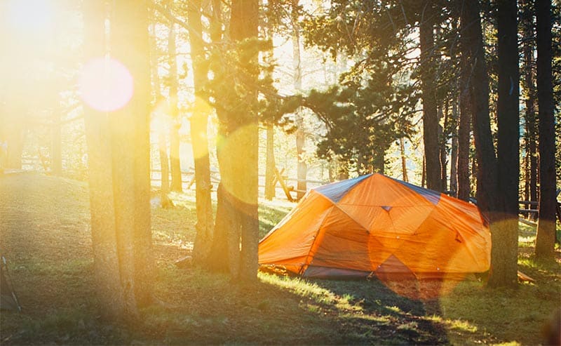 Tent Camping 101: Tips For Beginners 1 orange tent in woods