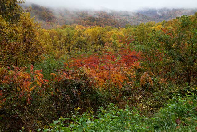 21 Most Beautiful Fall Camping Spots in the USA 10 great smoky mountains nat park