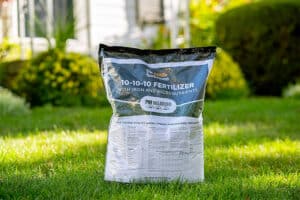 10-10-10 Fertilizer For Lawns: What To Know (Before You Dump It on Your
