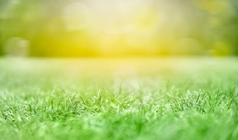 How To Calibrate Scotts EdgeGuard Spreader