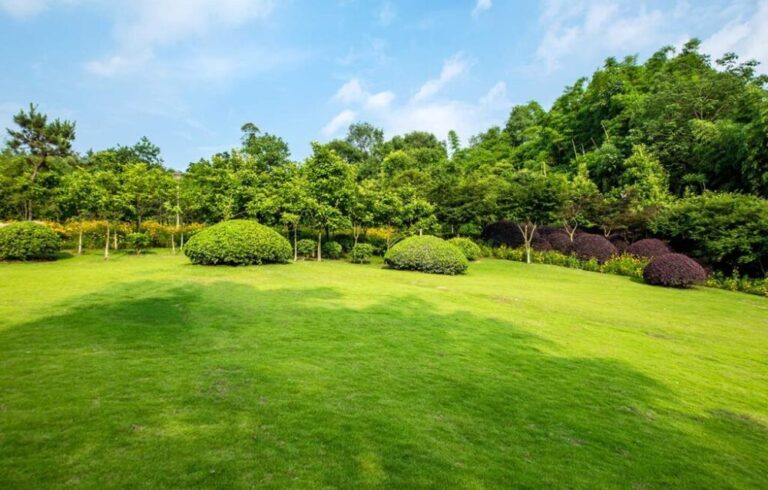 Best Time To Apply Scotts Turf Builder For A Lush Lawn