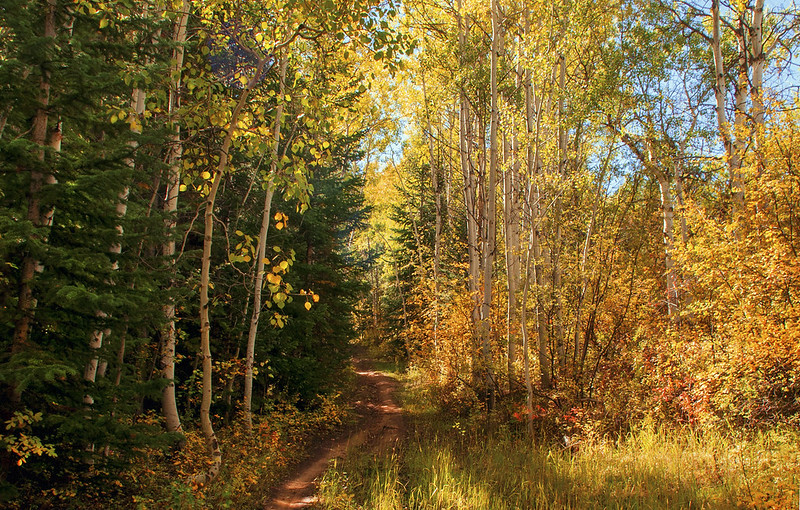 Top 15 Best Trails For Fall Bike Rides In The US 6 Trail