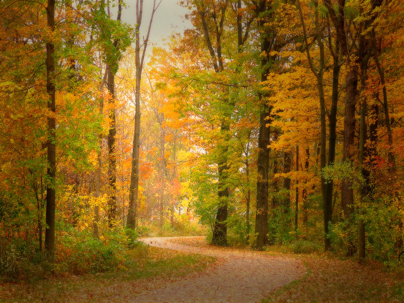 Top 15 Best Trails For Fall Bike Rides In The US 4 Autumn rain