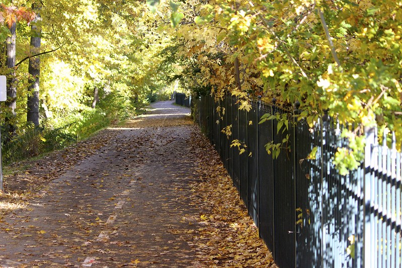 Top 15 Best Trails For Fall Bike Rides In The US 10 Boise River Greenbelt
