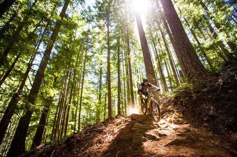 5 Best Mountain Bike Rides in Oregon 4 Alsea Falls Trail System