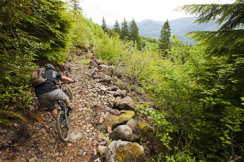 5 Best Mountain Bike Rides in Oregon 5 Sandy Ridge Trail System