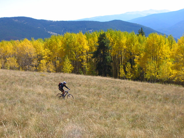 Top 15 Best Trails For Fall Bike Rides In The US 14 vail back bowls in the fall