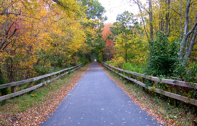 Top 15 Best Trails For Fall Bike Rides In The US 8 Cape Cod Rail Trail