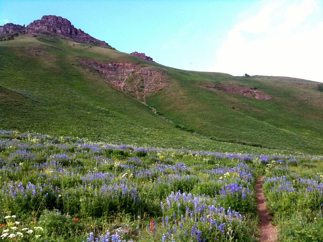 8 Best Mountain Bike Rides In Colorado 1 Mountain Bike Teocalli Ridge Trail, Crested Butte, CO, USA