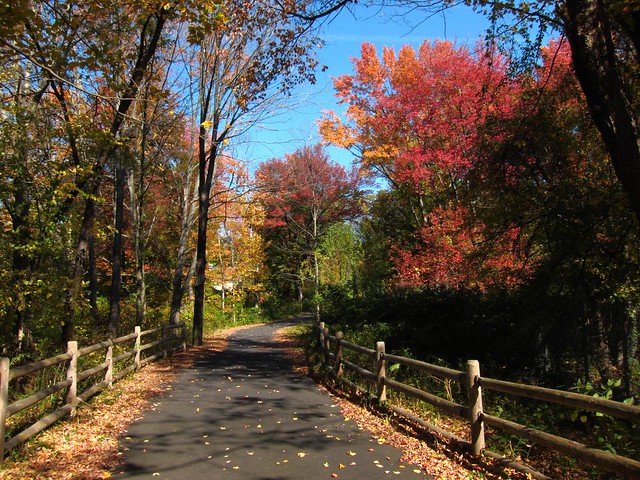 Top 15 Best Trails For Fall Bike Rides In The US 3 Autumn 3