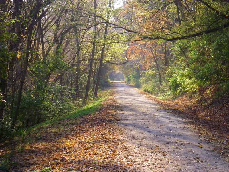 Top 15 Best Trails For Fall Bike Rides In The US 9 IMGP2078.JPG