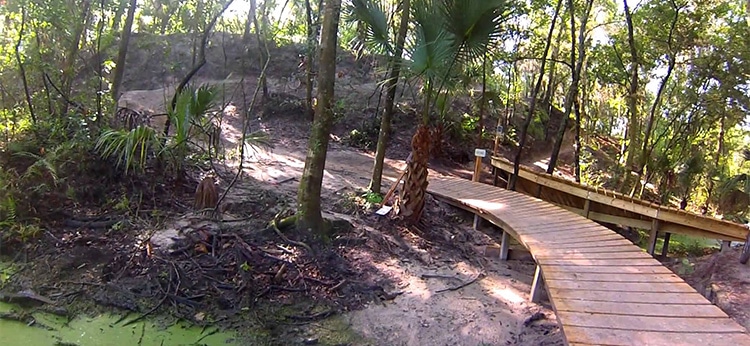 5 Best Mountain Bike Rides in Florida 1 Alafia River State Park