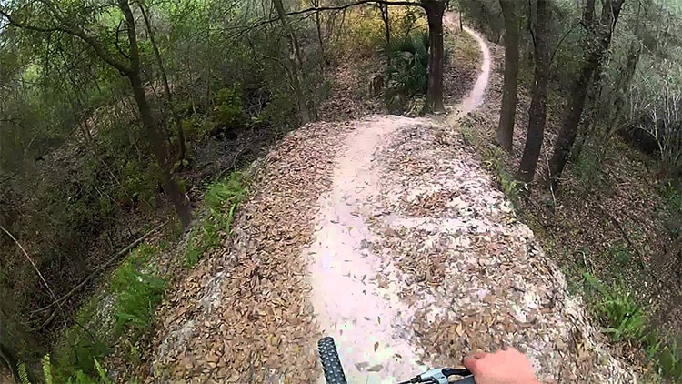 5 Best Mountain Bike Rides in Florida 4 Balm Boyette Scrub Preserve