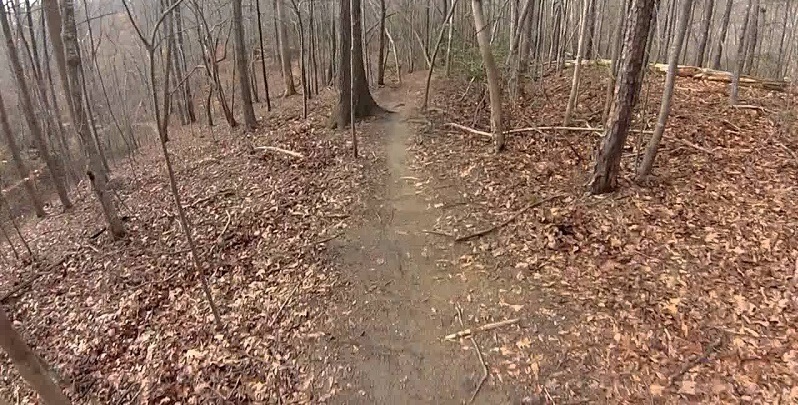5 Best Mountain Bike Rides in Georgia 2 Chicopee Woods