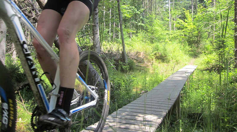 5 Best Mountain Biking Trails in Vermont 1 Kingdom Trails Vermont