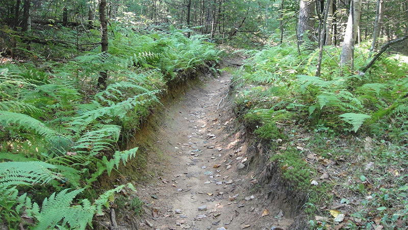 5 Best Mountain Bike Rides in New Hampshire 1 new hampshire MTB trail