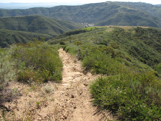 5 Best Mountain Bike Rides in California 3 cholla loop
