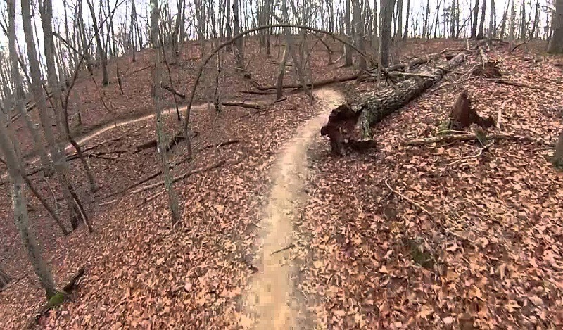 5 Best Mountain Bike Rides in Georgia 4 flying squirrel trail