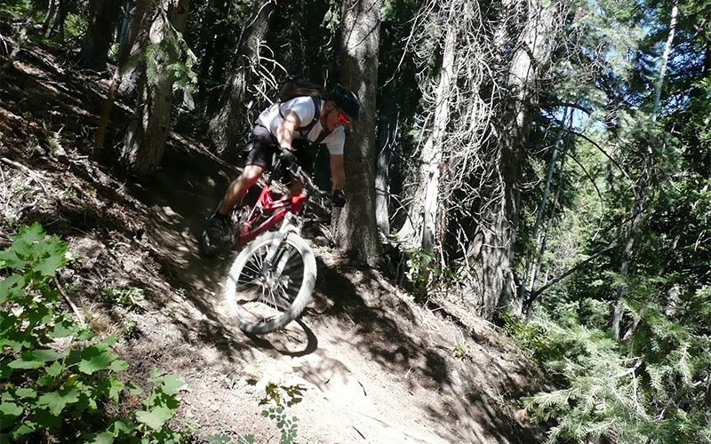 5 Best Mountain Bike Rides in Utah 3 mid mountain trail