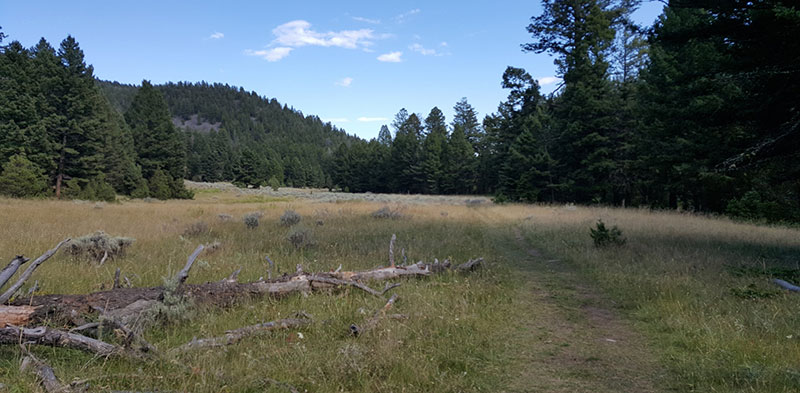 5 Best Mountain Bike Rides in Montana 1 montana trail