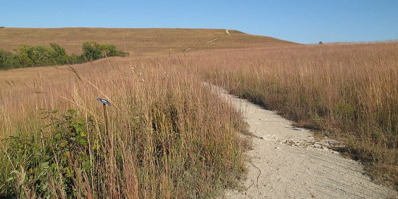 5 Best Mountain Bike Rides in Kansas 1 mtb trails kansas