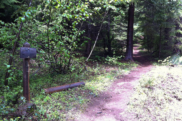 5 Best Mountain Bike Rides in Oregon 2 oregon-alpine-trail