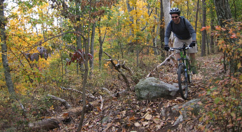 5 Best Mountain Bike Rides in Tennessee 1 raccoon mountain mtb trail